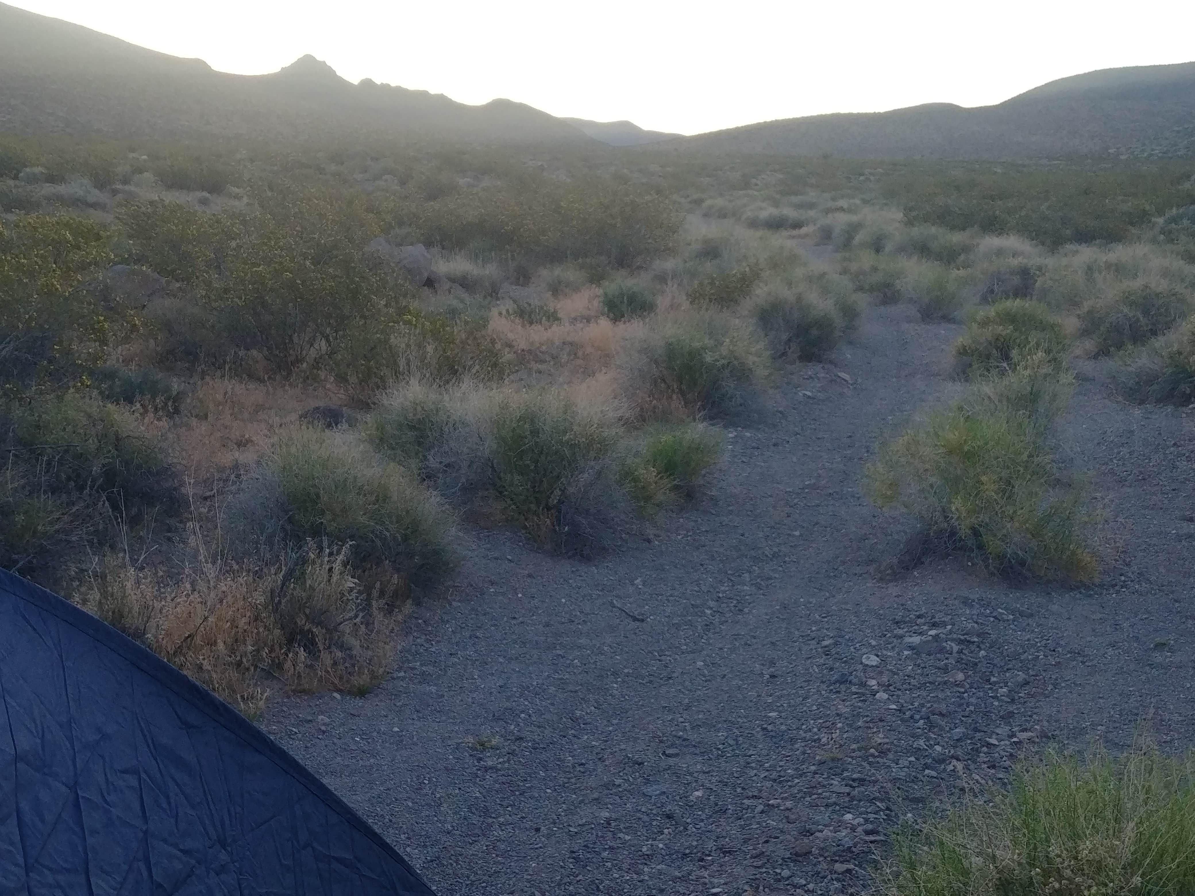 Eric F.'s photo of a dispersed camping area at Sloan Canyon - Dispersed Camping near Las Vegas, NV