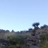 Review photo of Sloan Canyon - Dispersed Camping by Eric F., April 29, 2020