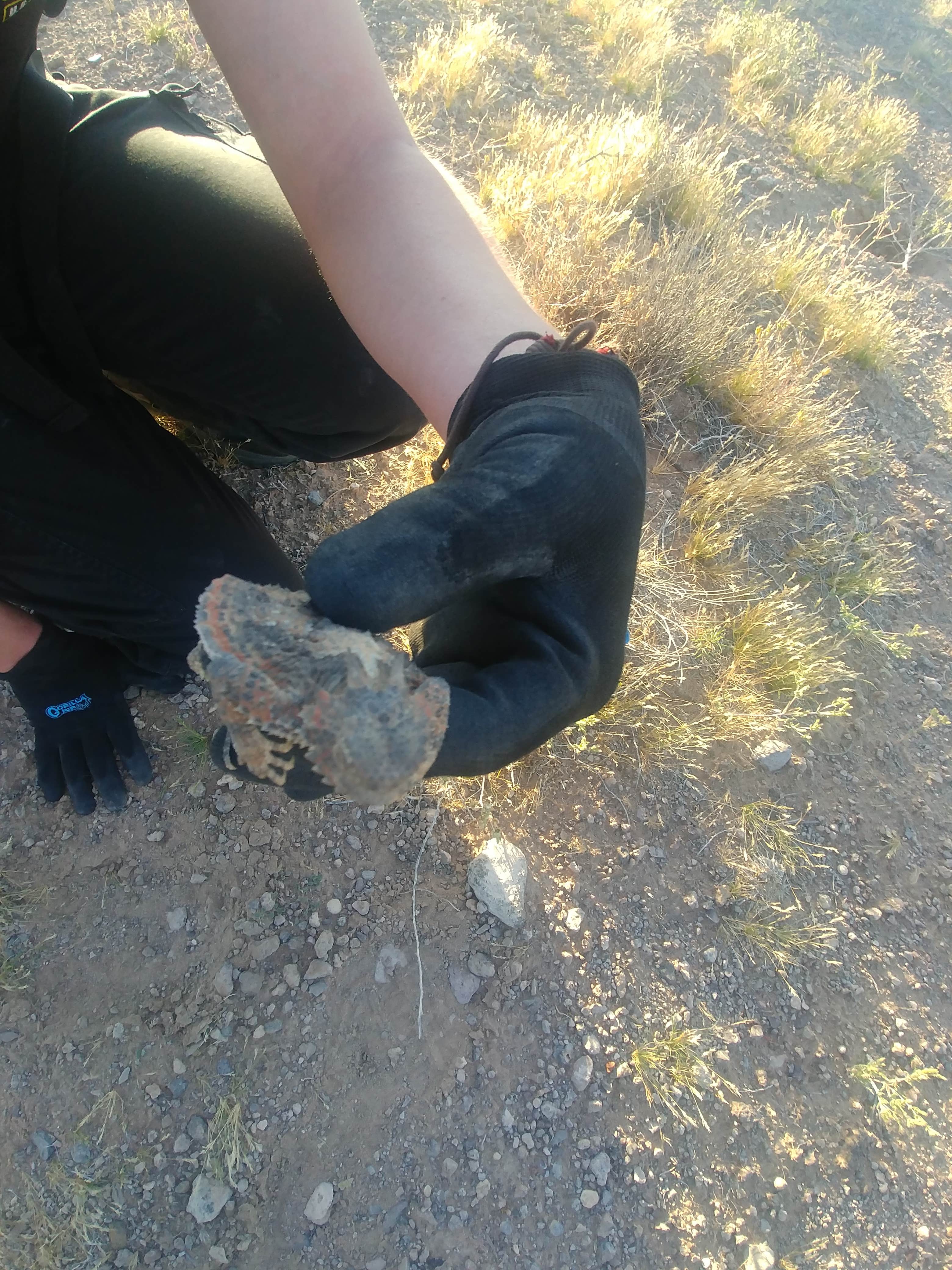 Camper-submitted photo at Sloan Canyon - Dispersed Camping near Sloan, NV