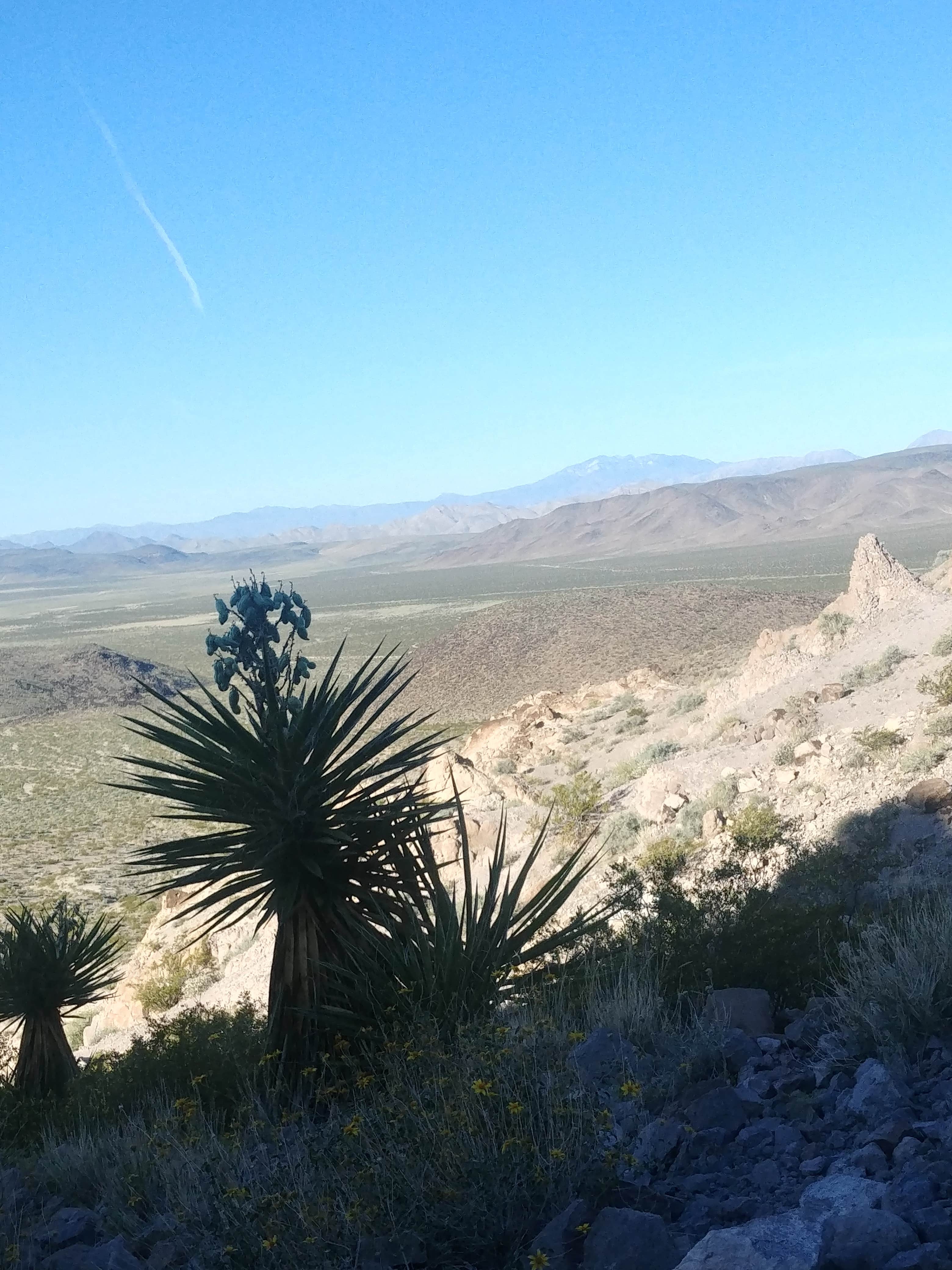 Camper-submitted photo at Sloan Canyon - Dispersed Camping near Sloan, NV