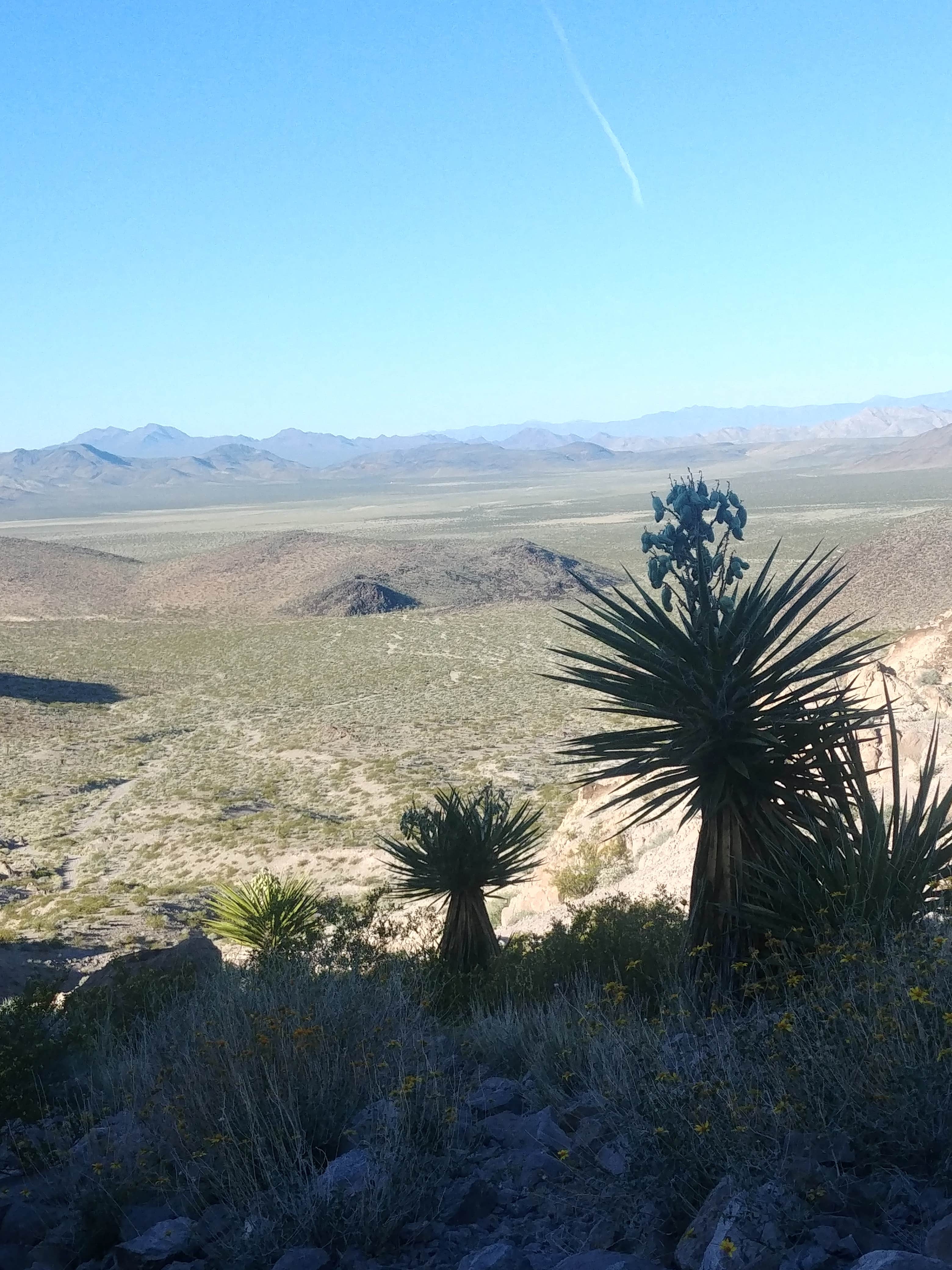 Camper-submitted photo at Sloan Canyon - Dispersed Camping near Sloan, NV