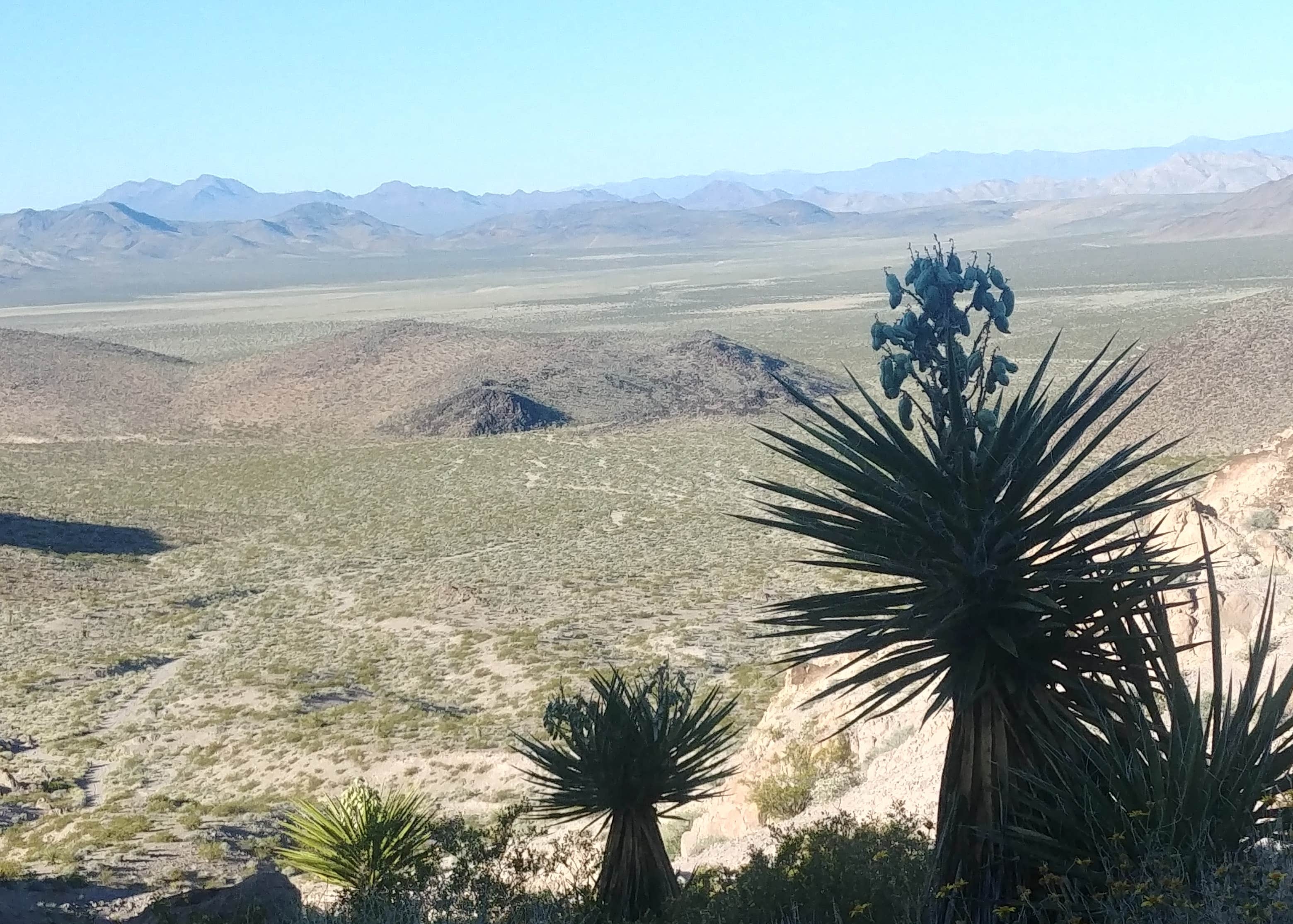 Sloan Canyon Dispersed Camping Camping The Dyrt