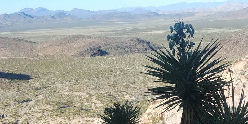 Camper submitted image from Sloan Canyon - Dispersed Camping