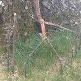 Review photo of Rogers Rock Campground by Meike  W., June 28, 2016