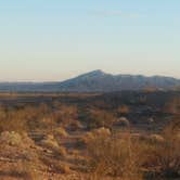 Review photo of Shoshone - Tecopa - Dispersed by Eric F., April 29, 2020