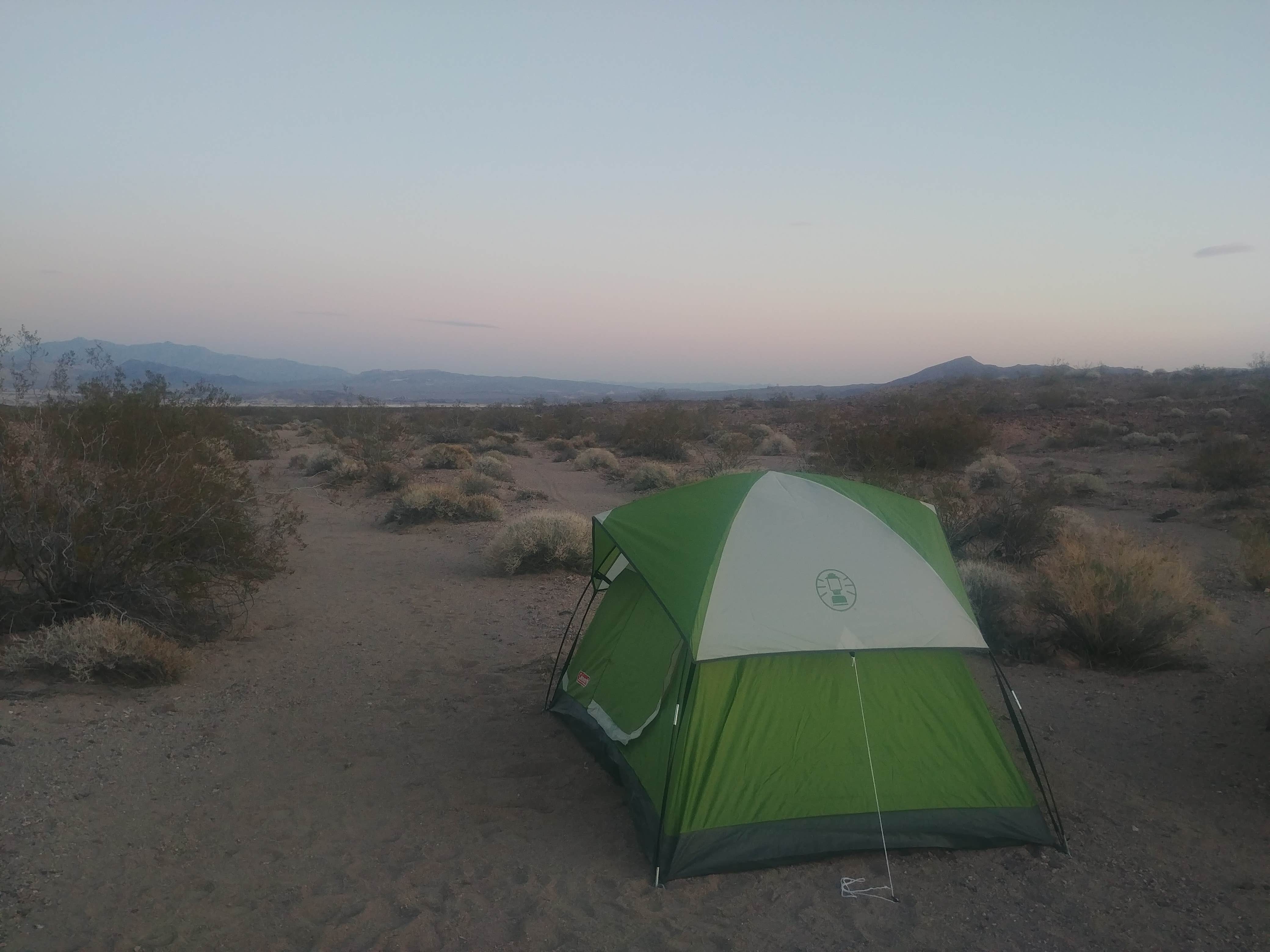 Eric F.'s photo at Shoshone - Tecopa - Dispersed near Tecopa, CA