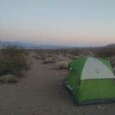 Review photo of Shoshone - Tecopa - Dispersed by Eric F., April 29, 2020