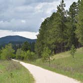 Review photo of Black Hills Trailside Park & Resort by Cindy B., April 29, 2020
