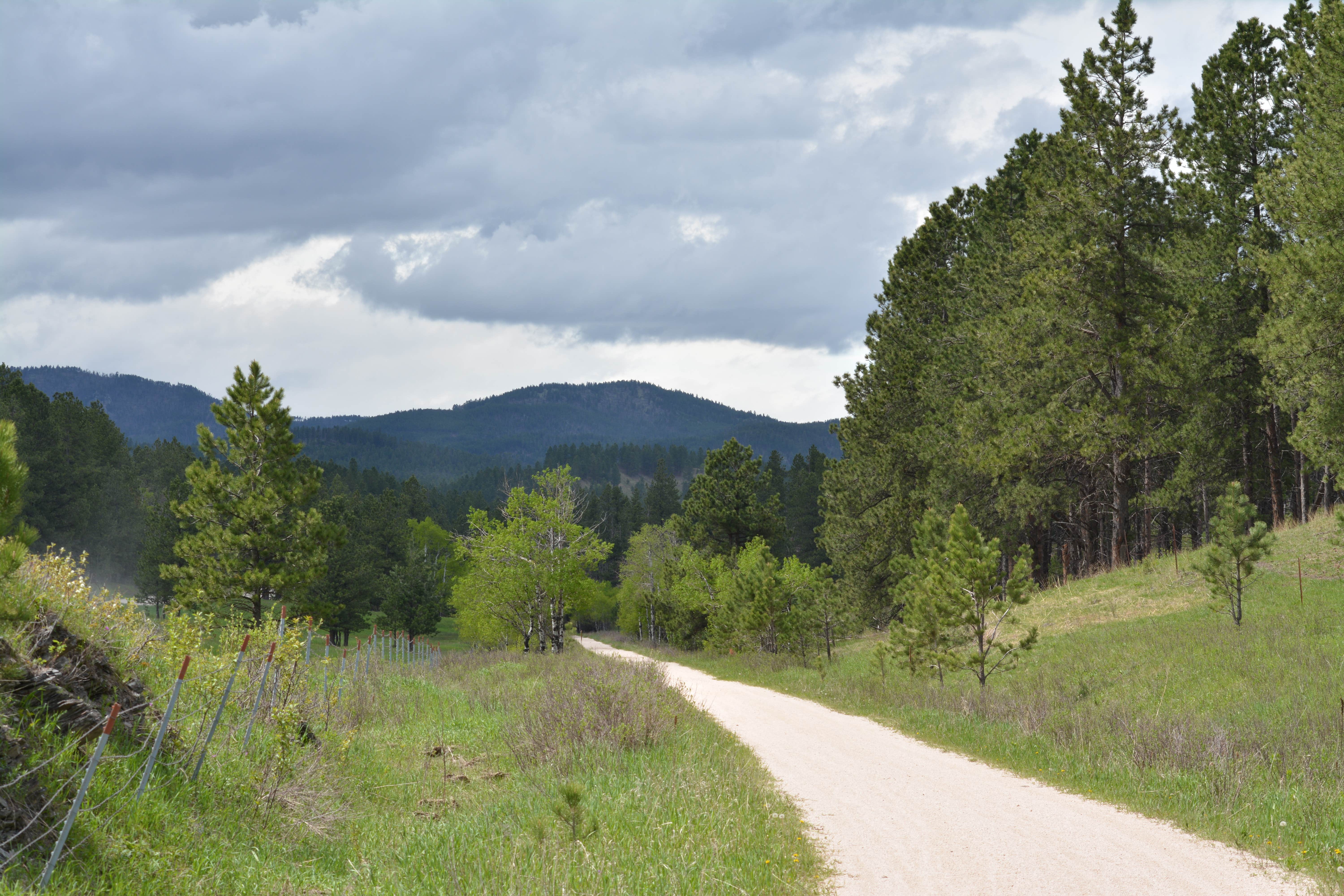 Camper submitted image from Black Hills Trailside Park & Resort - 4