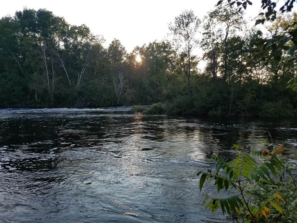 Camper submitted image from River Park - 4