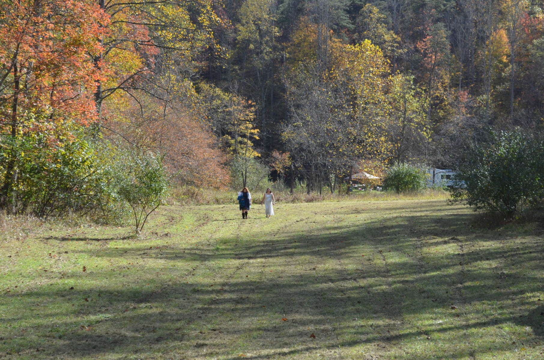 Camper submitted image from Coon Creek Cove, Mountain Hideaway - 4