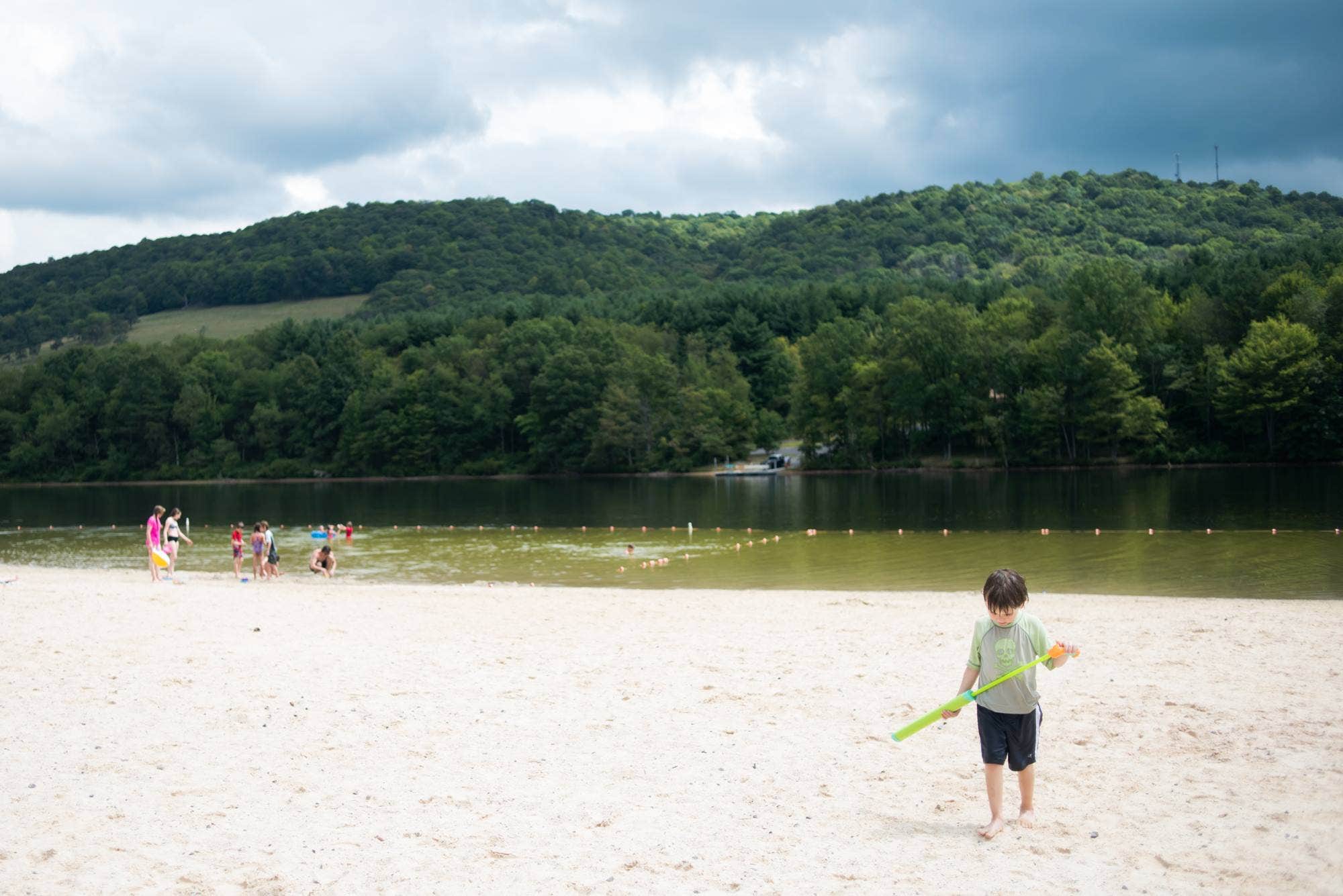 Rocky Gap State Park The Dyrt