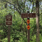 Review photo of Hanging Rock Recreation Site by Lucille W., April 29, 2020