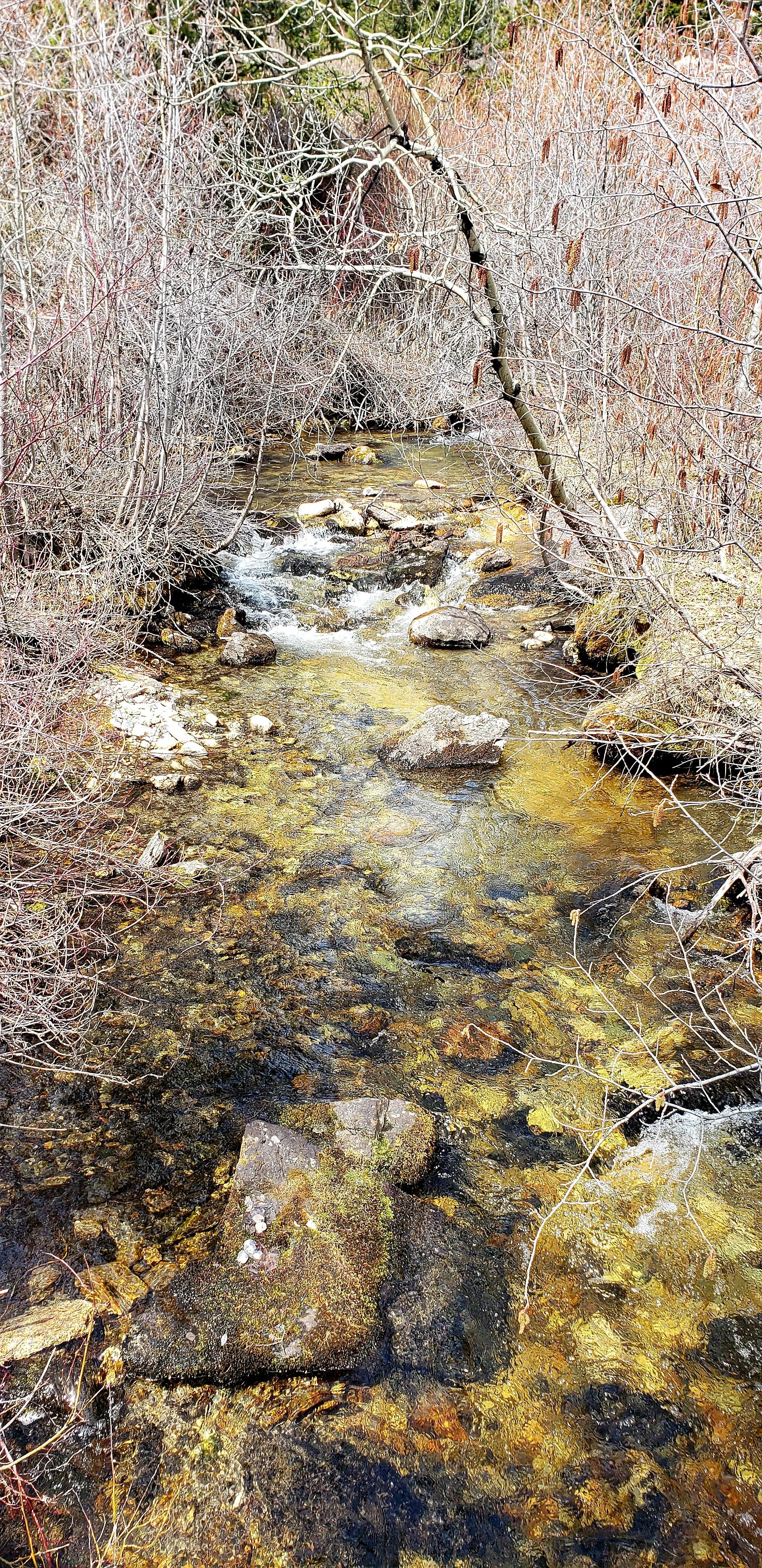Camper-submitted photo at Lost Creek State Park Campground near Deer Lodge, MT