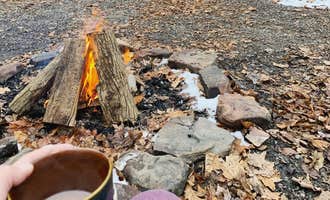 Camping near Red House Area — Allegany State Park State Park: Quaker Area — Allegany State Park State Park, Steamburg, New York
