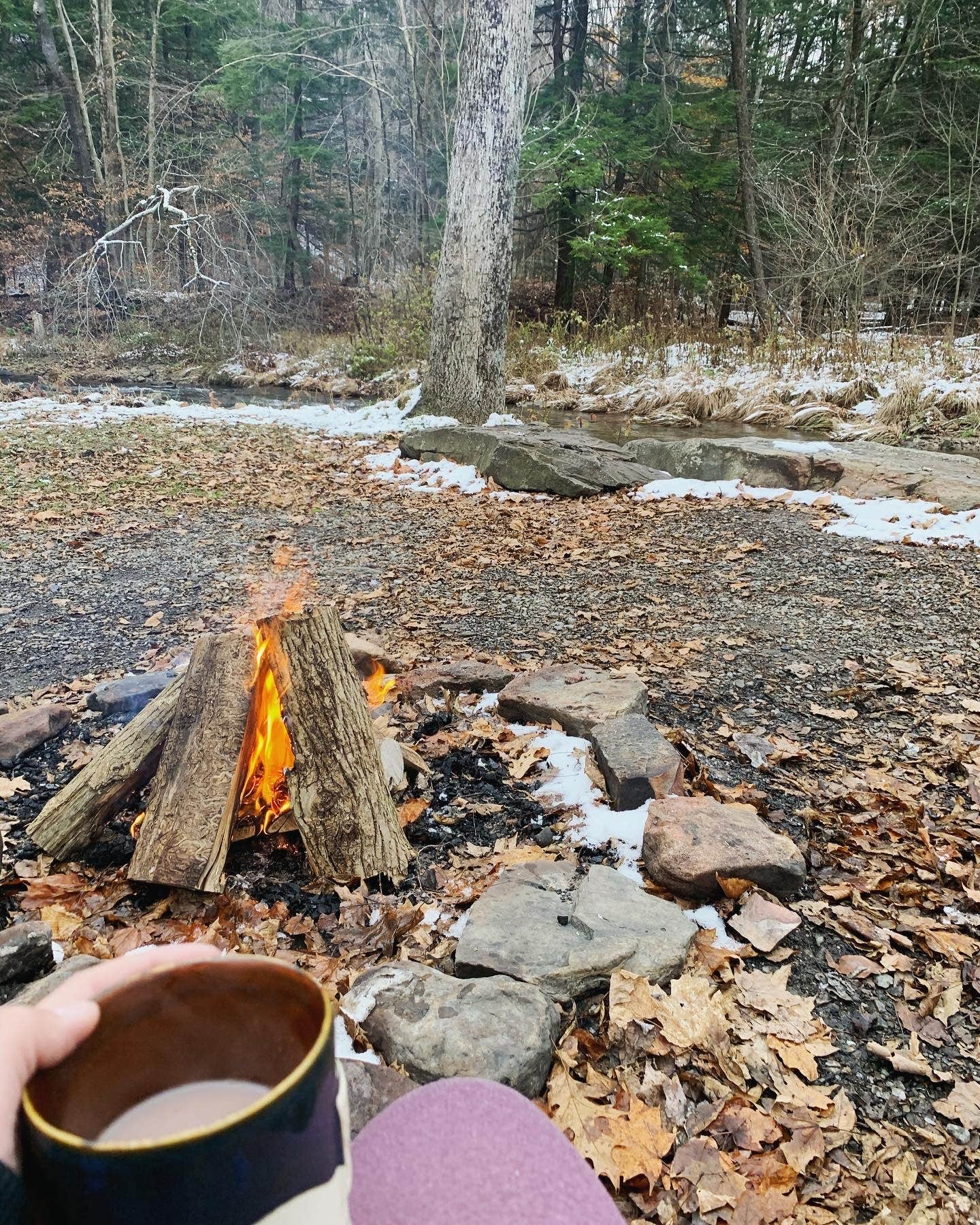 Camper submitted image from Quaker Area — Allegany State Park State Park - 1