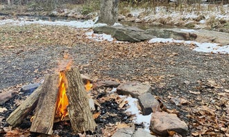 Camping near Handsome Lake Campground: Quaker Area — Allegany State Park State Park, Steamburg, New York