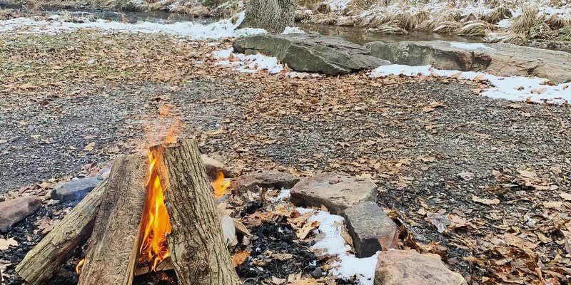 Camper submitted image from Quaker Area — Allegany State Park State Park