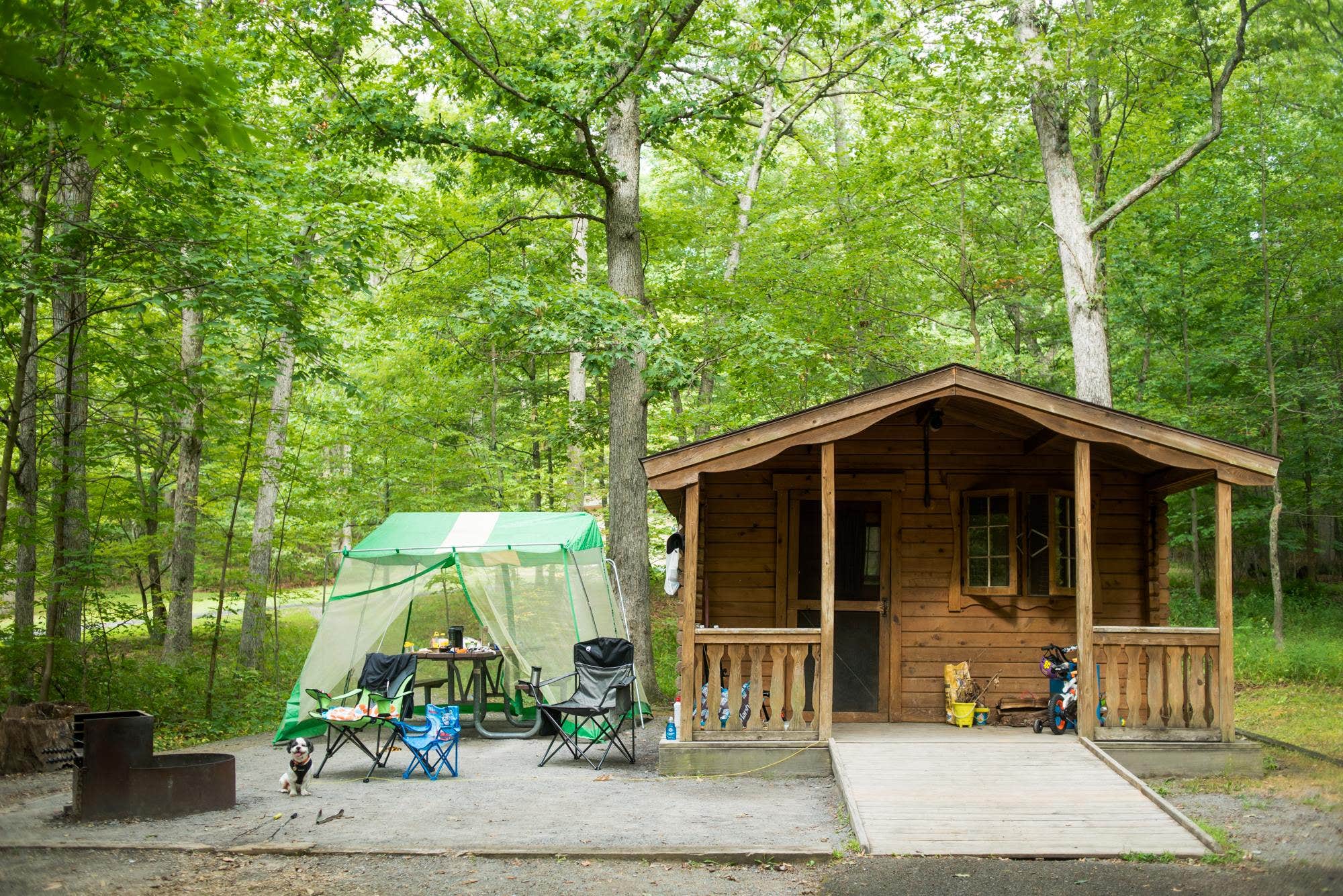 Camper submitted image from Rocky Gap State Park Campground - 4