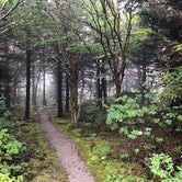 Review photo of Canaan Valley Resort State Park Campground by Aimee L., April 30, 2020