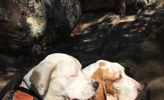 Valerie C.'s photo of camping with pets at Robbers Cave State Park — Robbers Cave State Resort Park in Oklahoma