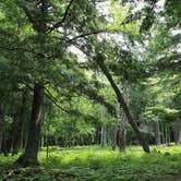 Review photo of Ottawa National Forest Black River Harbor Campground by Thomas F., May 2, 2015