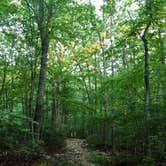 Review photo of Rocky Gap State Park Campground by Jennifer S., September 18, 2017