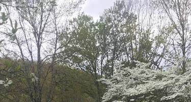 Rocky Bluff Campground