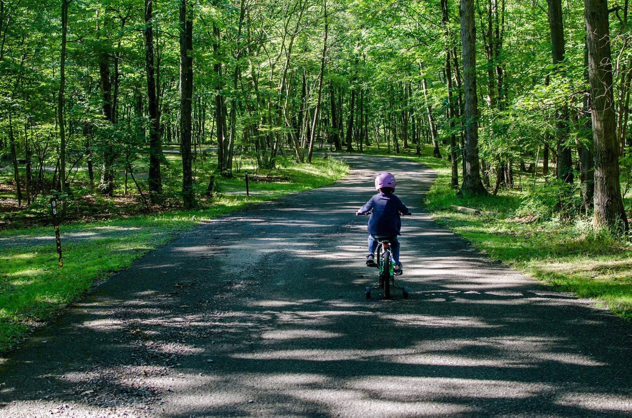 Camper submitted image from Rocky Gap State Park Campground - 5