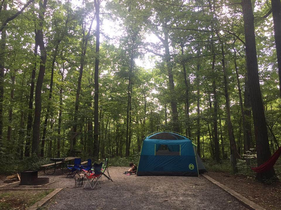 Camper submitted image from Hollofield Area Campground - 5