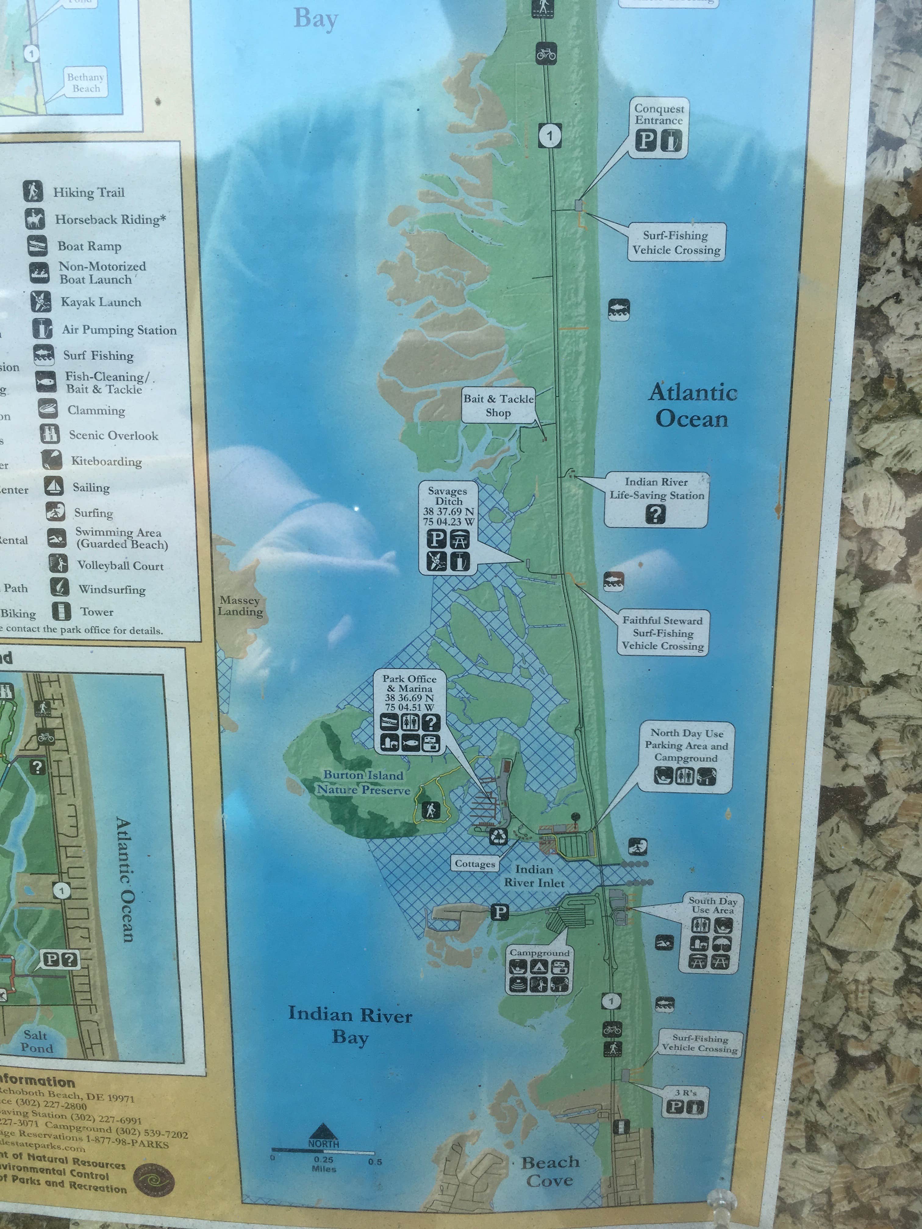 Camper submitted image from Delaware Seashore State Park Campground - 5
