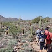 Review photo of Usery Mountain Regional Park by Robert G., April 30, 2020