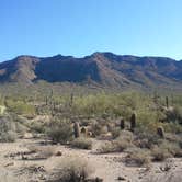 Review photo of Usery Mountain Regional Park by Robert G., April 30, 2020