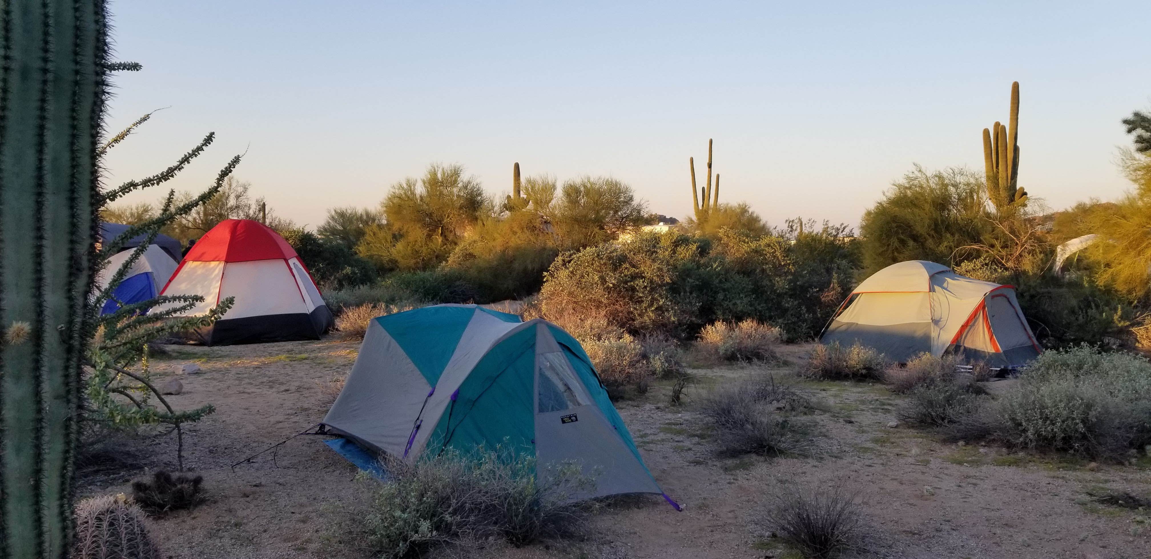 Robert G.'s photo at Usery Mountain Regional Park near Phoenix, AZ