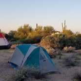 Review photo of Usery Mountain Regional Park by Robert G., April 30, 2020