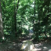 Review photo of Carson Creek Campground — Beavers Bend State Park by Crystal C., April 30, 2020