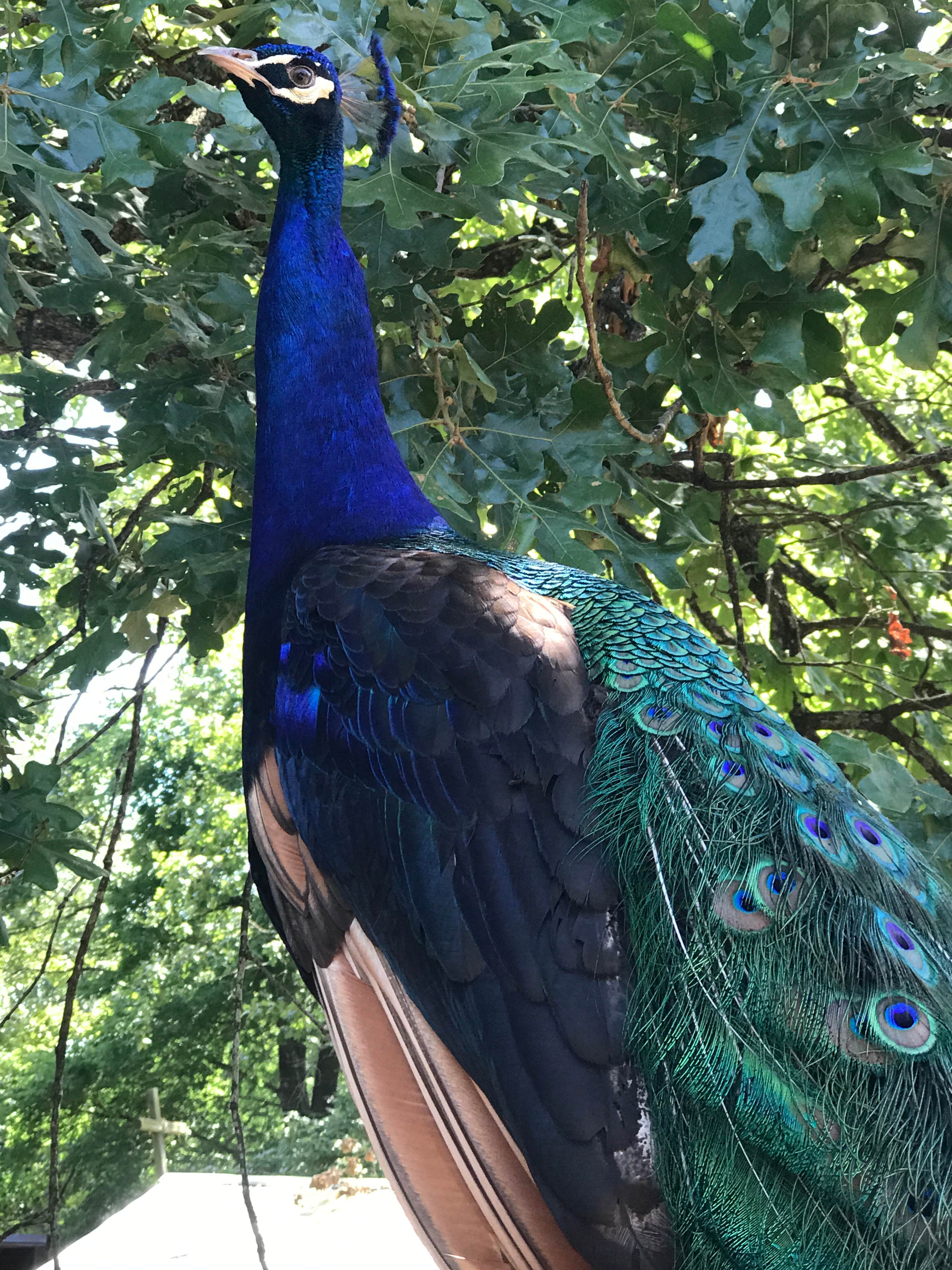 Camper-submitted photo at Carson Creek Campground — Beavers Bend State Park near Broken Bow, OK