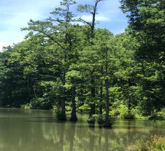 Camper-submitted photo from Carson Creek Campground — Beavers Bend State Park