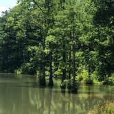 Review photo of Carson Creek Campground — Beavers Bend State Park by Crystal C., April 30, 2020