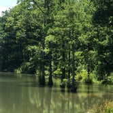 Review photo of Carson Creek Campground — Beavers Bend State Park by Crystal C., April 30, 2020