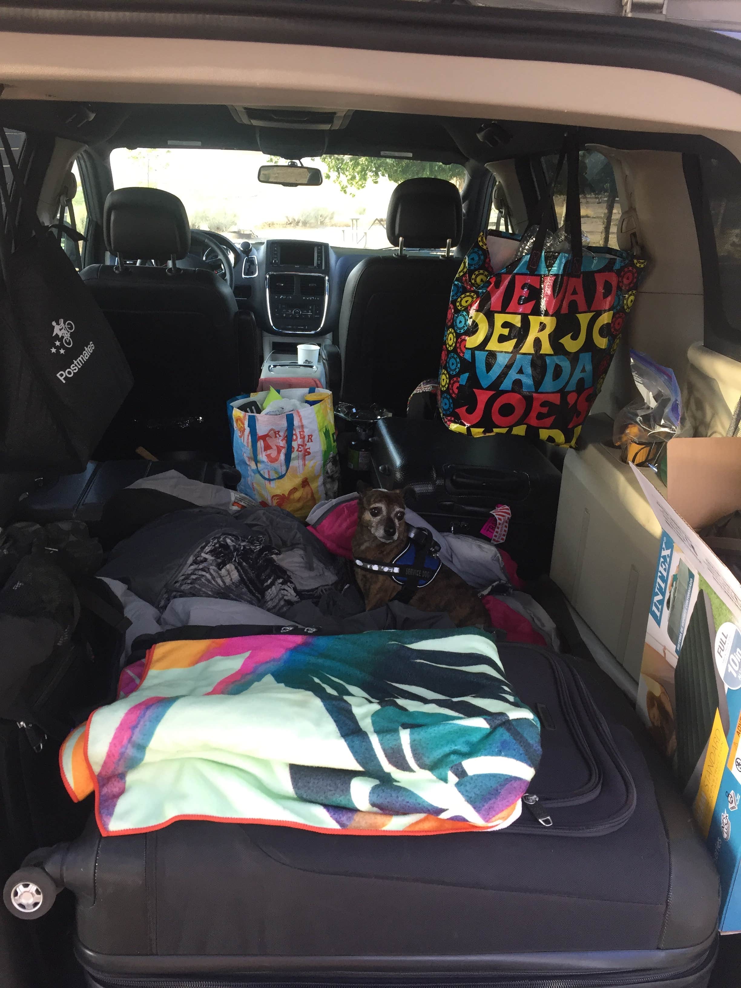 Alicia F.'s photo of camping with pets at Oasis Campground — Yuba State Park near Manti, UT