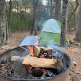 Review photo of Talimena State Park Campground by Teresa C., April 30, 2020