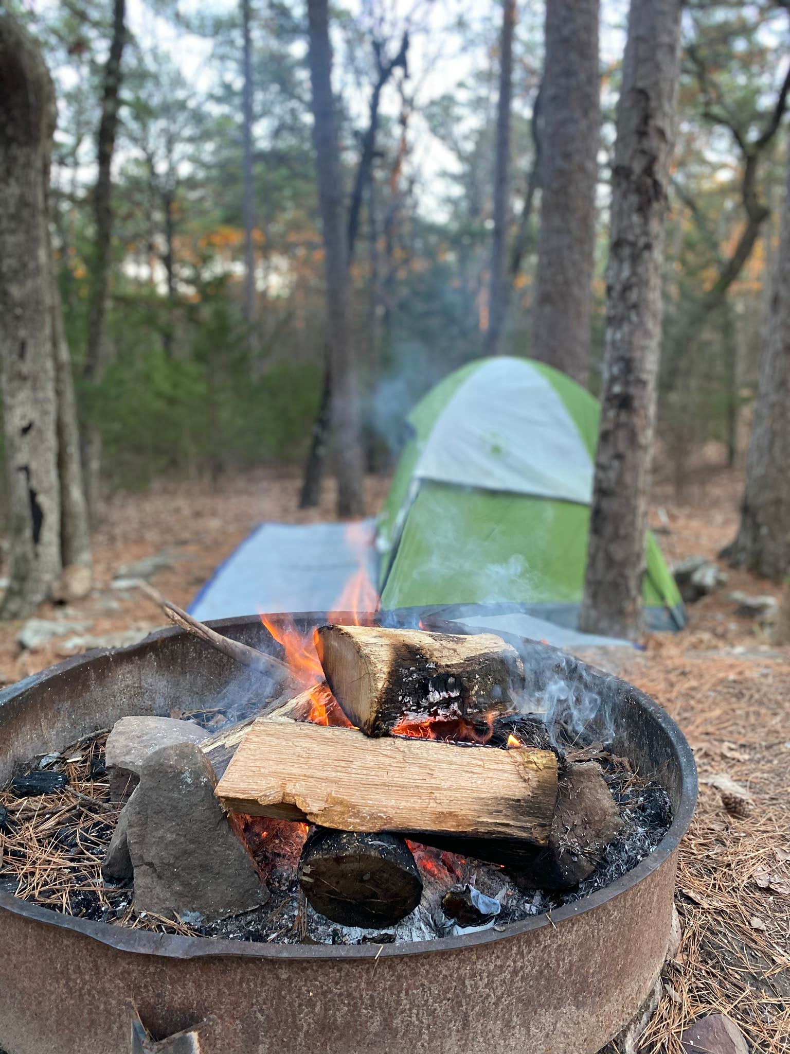 Camper submitted image from Talimena State Park Campground - 5