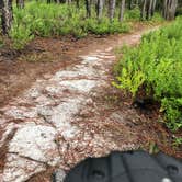 Review photo of Topsail Hill Preserve State Park Campground by Cindy B., April 30, 2020