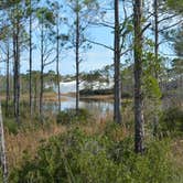 Review photo of Dr. Julian G. Bruce St. George Island State Park Campground by Cindy B., April 30, 2020