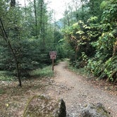 Review photo of Keenig Creek Campground by Sarah S., September 18, 2017