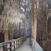 Review photo of Manatee Springs State Park Campground by Cindy B., April 30, 2020