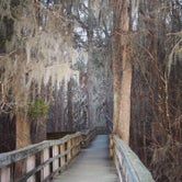 Review photo of Manatee Springs State Park Campground by Cindy B., April 30, 2020