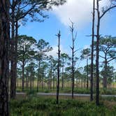Review photo of Pine Grove Campground — Jonathan Dickinson State Park by Cindy B., April 30, 2020