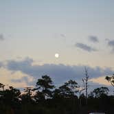 Review photo of Pine Grove Campground — Jonathan Dickinson State Park by Cindy B., April 30, 2020